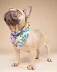 Patches Dog Bandana