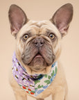 Patches Dog Bandana