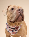 Patriotic Flag Dog Bandana