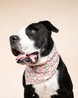 Picnic Watermelon Dog Bandana