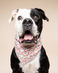 Picnic Watermelon Dog Bandana