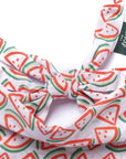 Picnic Watermelon Dog Bandana
