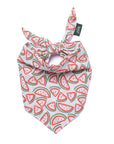 Picnic Watermelon Dog Bandana
