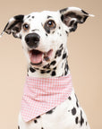 Pink Gingham Dog Bandana