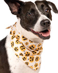 Pumpkin Dog Bandana