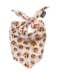 Pumpkin Dog Bandana