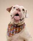 Pumpkin Patch Dog Bandana