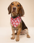 Reindeer Patrol Christmas Dog Bandana