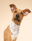 Roam Dog Bandana
