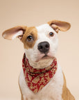 Dog wearing a bandana with a Christmas pattern on a rich red cotton