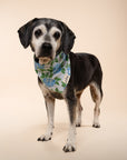 Sconset Dog Bandana