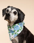 Sconset Dog Bandana