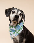 Sconset Dog Bandana