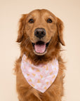 Scoops Dog Bandana