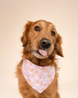 Scoops Dog Bandana