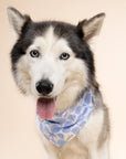 Seaside Dog Bandana