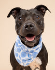 Seaside Dog Bandana