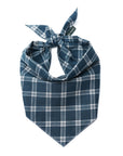 Slate Dog Bandana