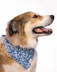 Blue Berry Dog Bandana - The Paws
