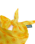 Sol Dog Bandana