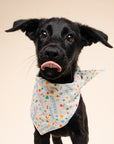 Sparkle Pawty Blue Dog Bandana