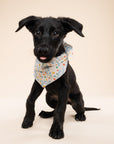 Sparkle Pawty Blue Dog Bandana