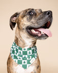 Spruce Dog Bandana