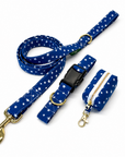 Starlet Blue Walk Set