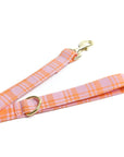 Stevie Leash