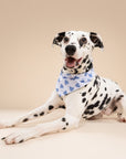 Story Dog Bandana