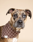 Stratford Dog Bandana