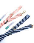 Cider Leash