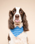 Surf's Up Dog Bandana