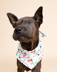 Twinkle Dog Bandana