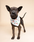 Twinkle Dog Bandana