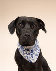 Wander Dog Bandana