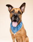 West Dog Bandana