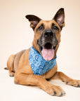 West Dog Bandana