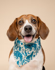 Western Blue Dog Bandana