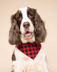 Whiskey Dog Bandana
