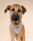 Willow Dog Bandana