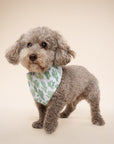 Yucca Cactus Dog Bandana