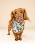 Yule Christmas Dog Bandana