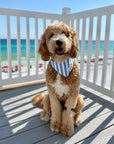 Cabana Blue Stripes - Bandana from The Paws