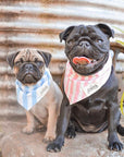 Siblings Wearing Matching Striped Bandanas