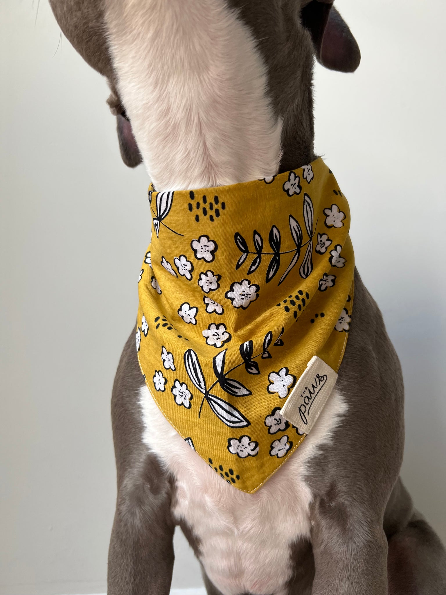 Goldie dog bandana detail - from The Paws
