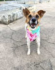Patches dog bandana