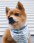 Sea Bandana - The Paws