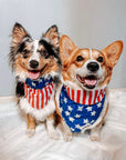 Dogs wearing reversible Patriotic bandanas
