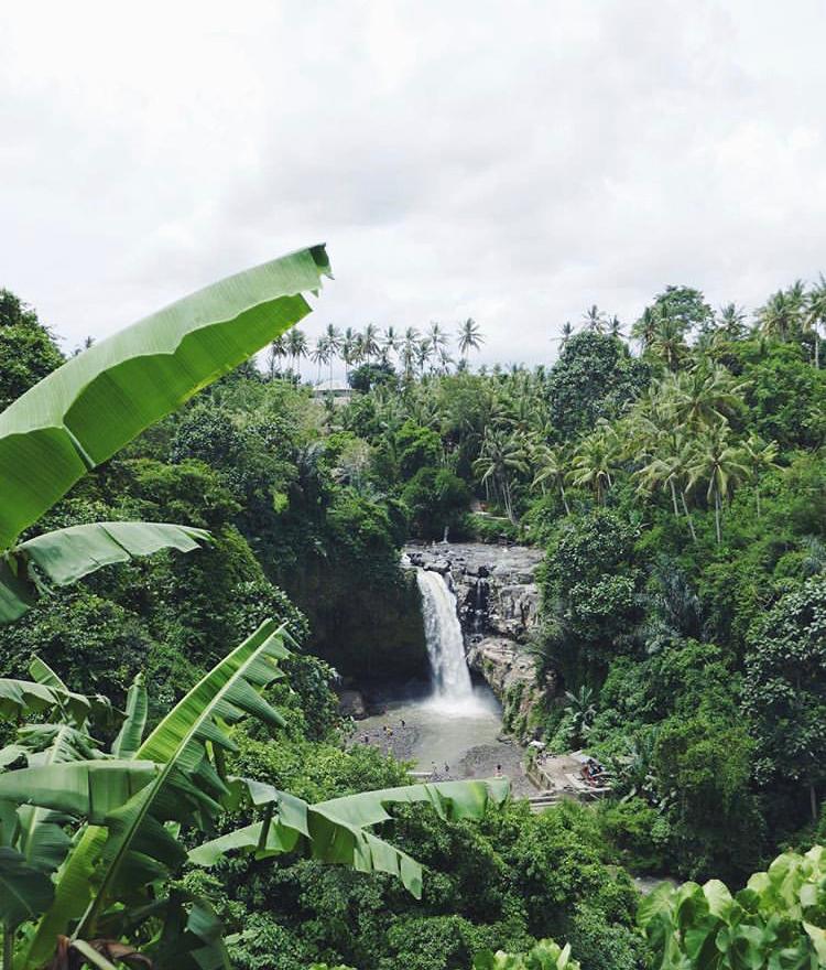 Why Bali?